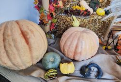 IMG_20260929_113440